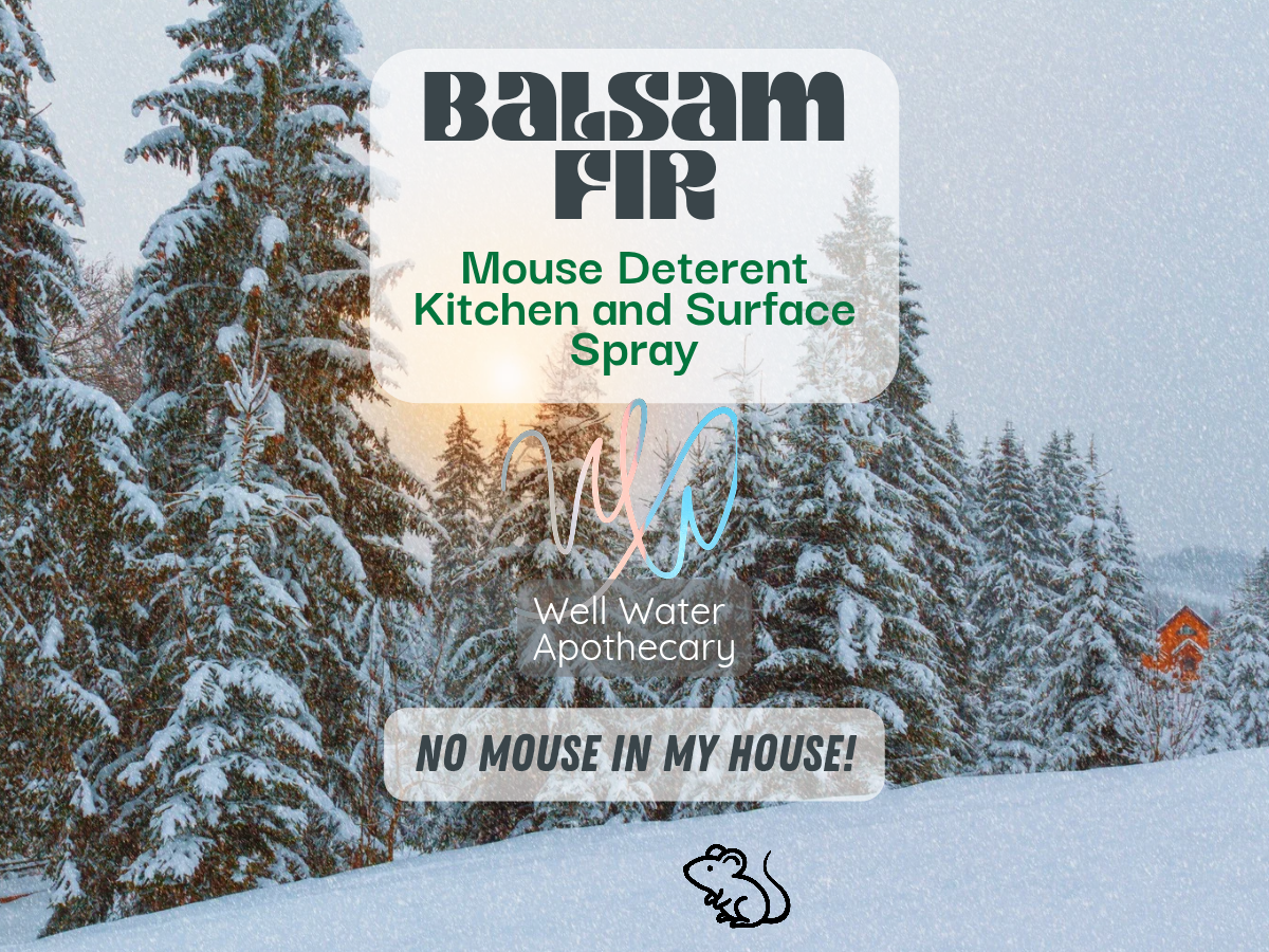 Balsam Fir Kitchen Spray and Mouse Deterant